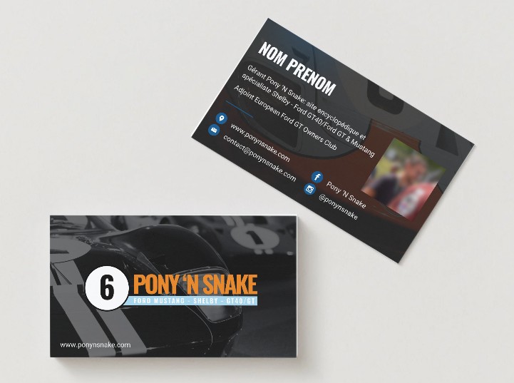 Crocus Studio cartes de visite Pony 'N Snake